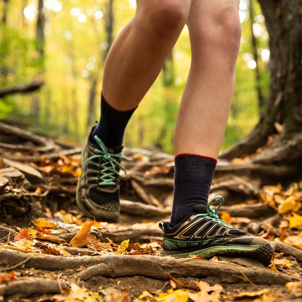 Mountain Heritage Microweight Cushion Crew Wool Socks